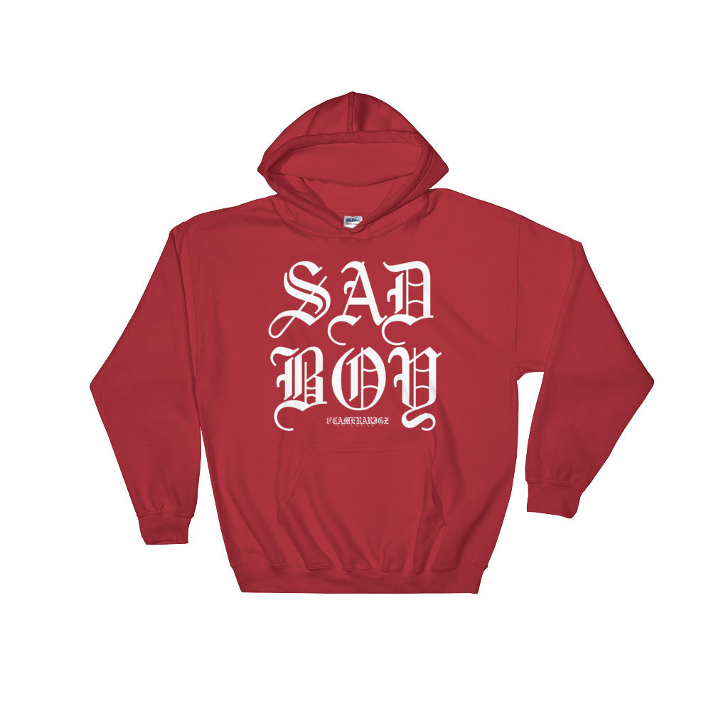 LIMITED EDITION Camerarigz Sad Boy Hoodie